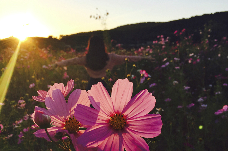 Bildungsforum Gesundheit