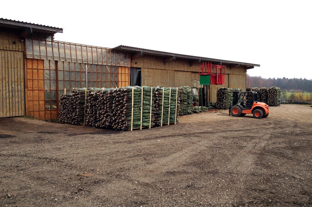 Billenforst_image009-large-large