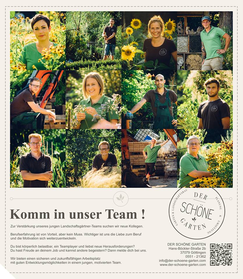 der_schöne_garten_Bild_MA-Suche