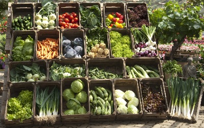 diedrichs_Gemuesebild