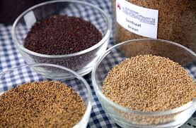 einbecker_senfmuehle_Senfkoerner