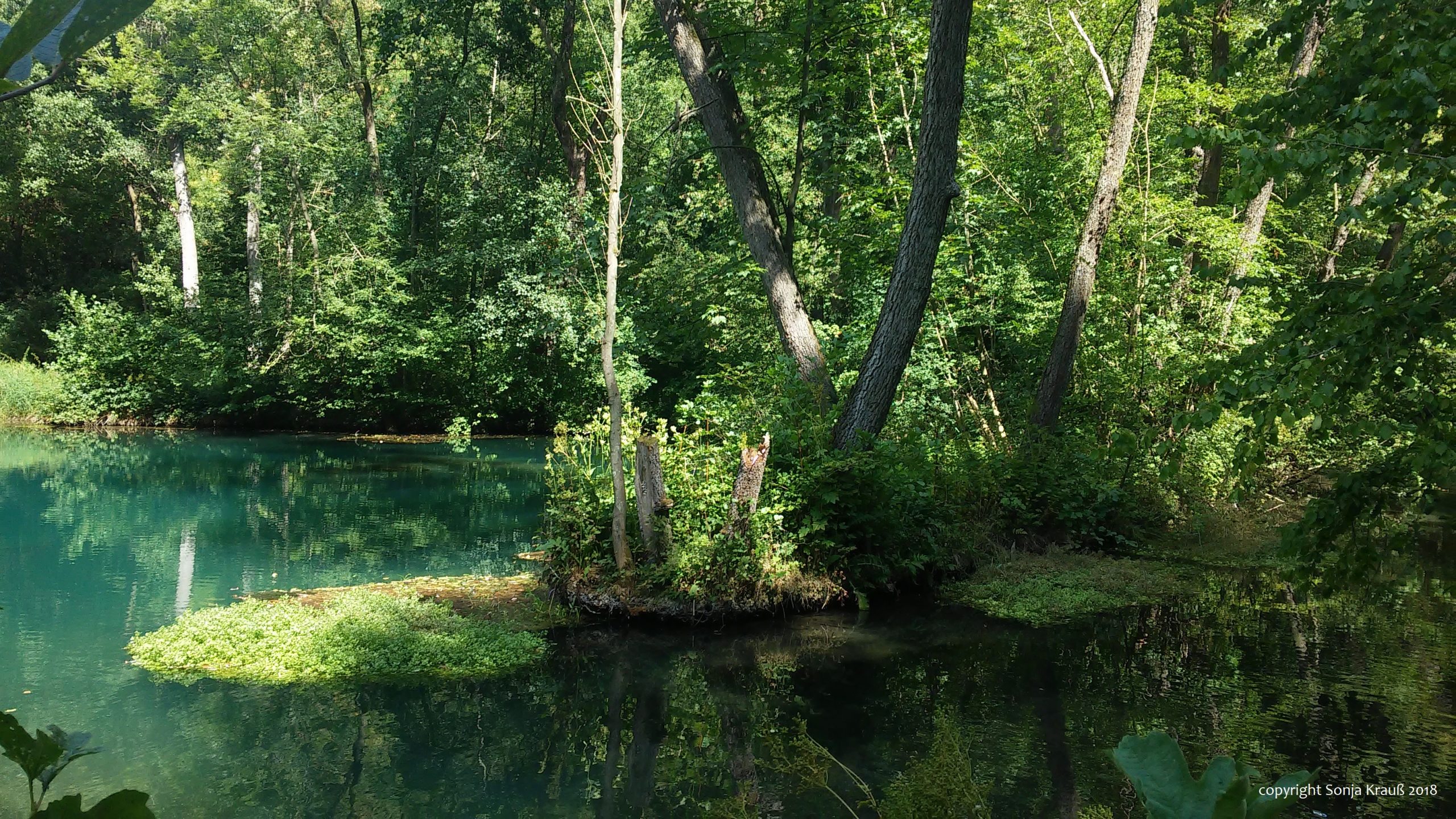 resaturant_die_quelle_20180811_142500