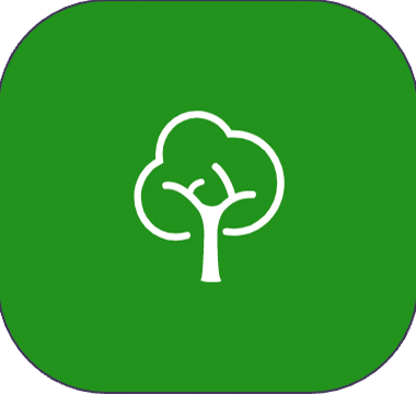 Baumfällung- und Pflege