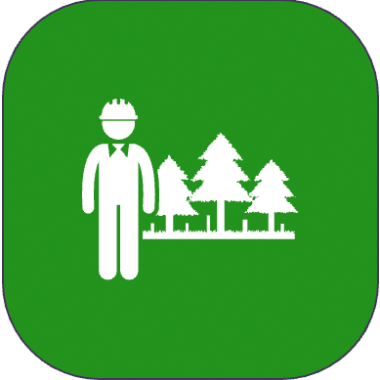 Forst&shy;dienst&shy;leistungen