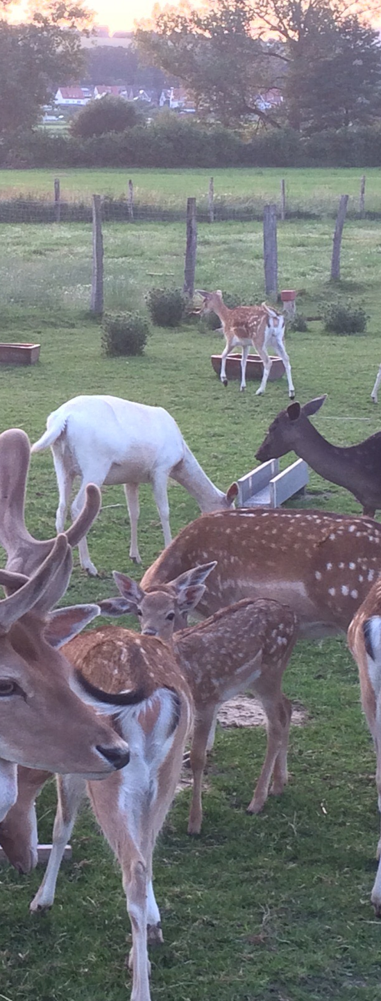 6632b874-78b1-4c98-a046-3ae49aa5009b