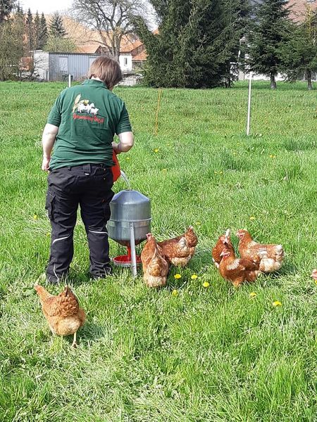 csm_Vogel_2_ab97218666