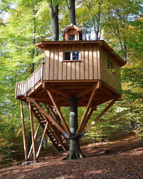 baumhaus_kobel_4_stadt-uslar