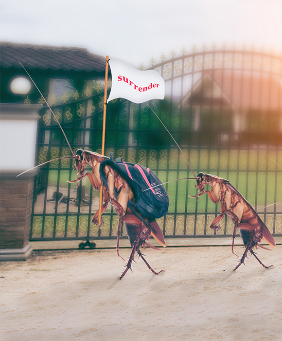 apesta_shutterstock_714104110_web