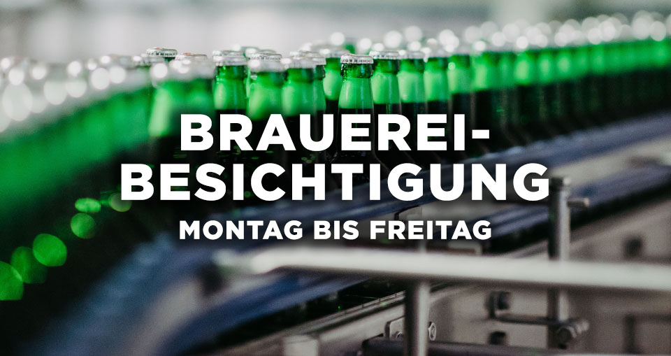 Foto: Michael Mehle